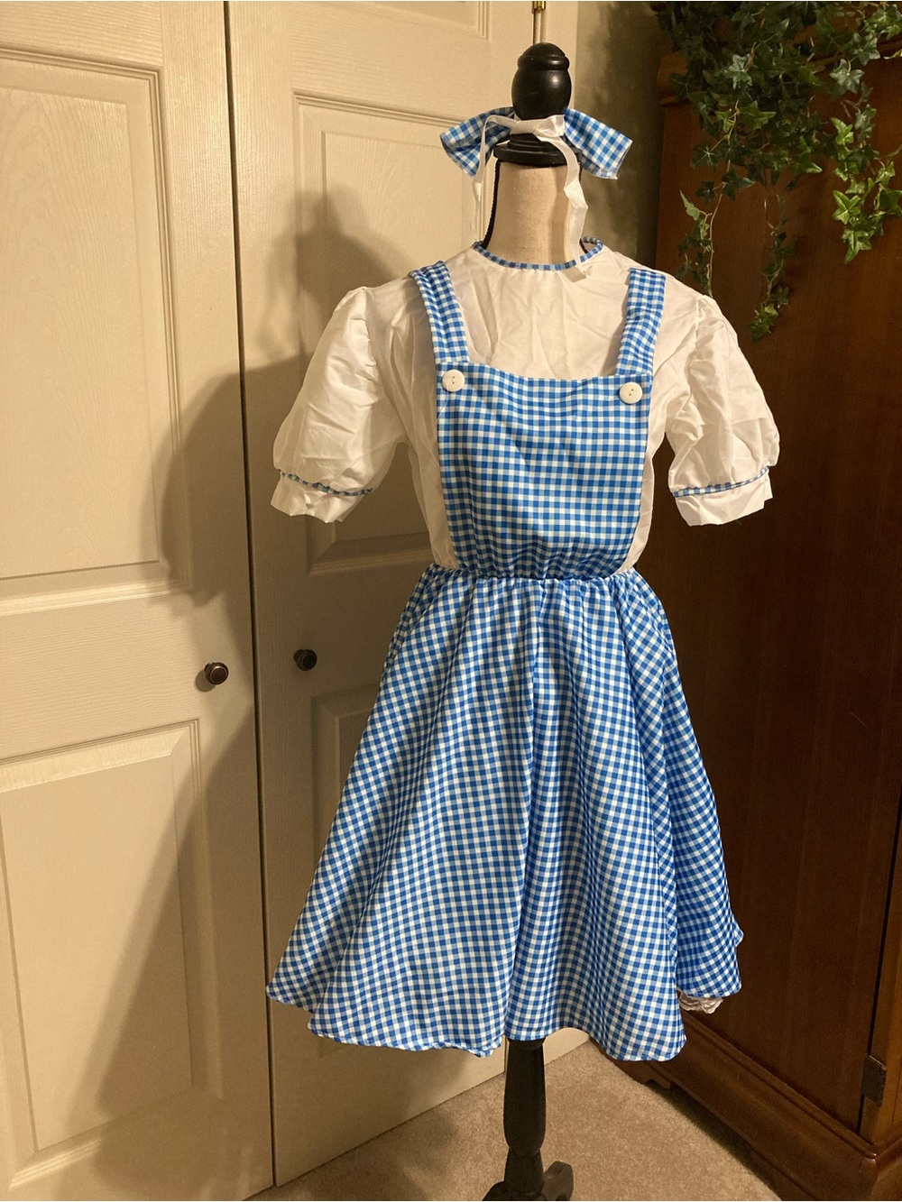 Dorothy of the wizard of OZ costume adult size